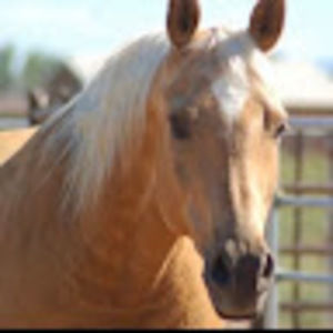 Meet your Posher, Carol